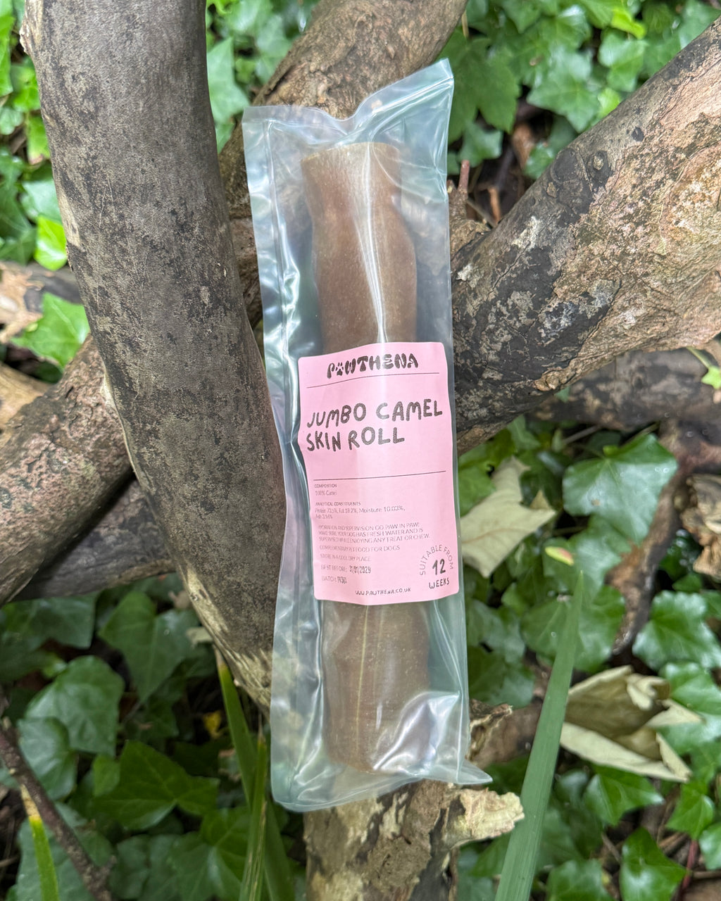 Pawthena Jumbo Camel Skin Roll