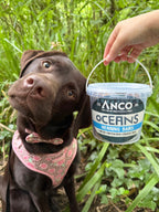 Anco Oceans Herring Bars Dog Treats