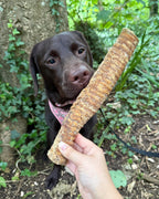 Pawthena Beef Trachea