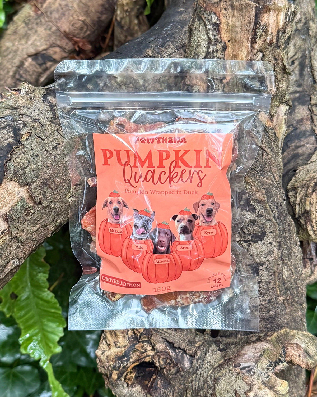 Pawthena Pumpkin Quackers Limited Edition Halloween Dog Treats