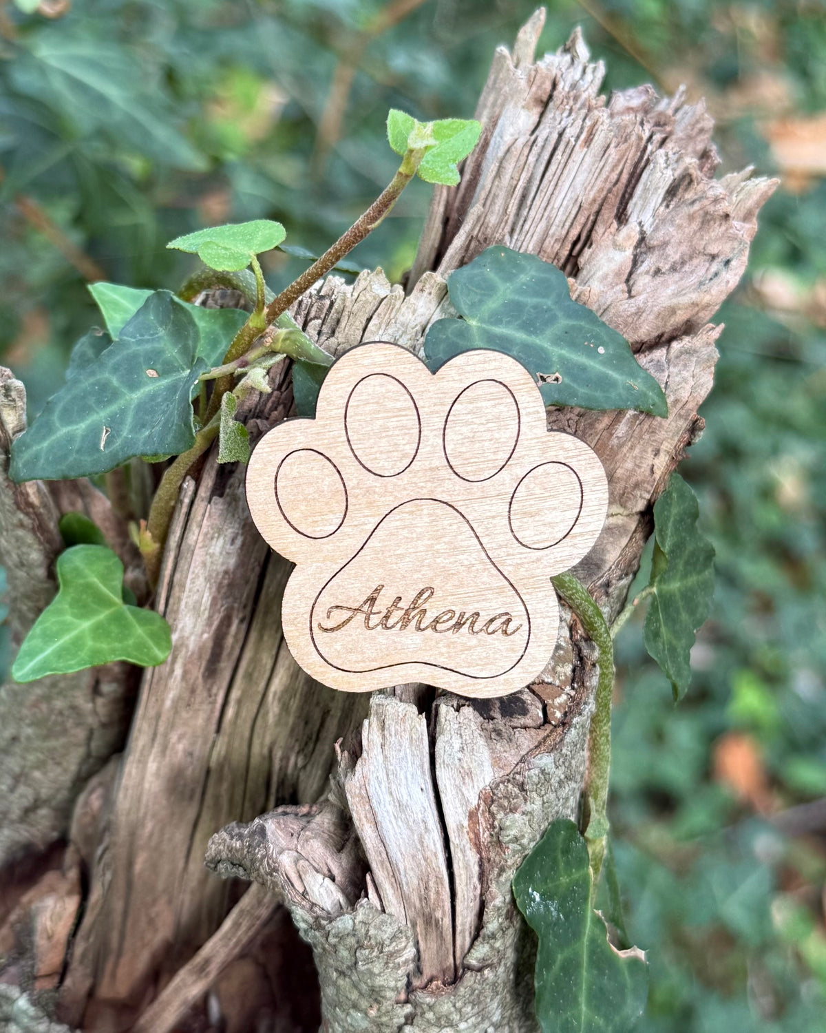 Personalised Wooden Dog Paw Name Engraved Magnet