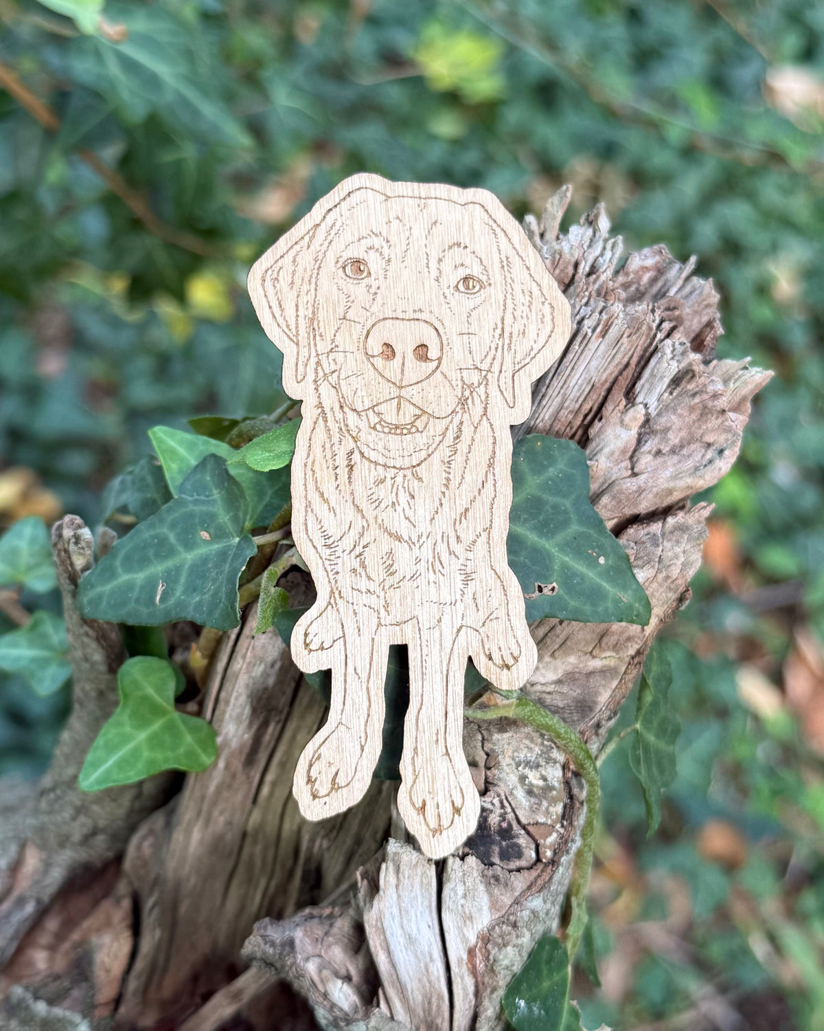 Personalised Custom Shape Wooden Full Body Dog Portrait Engraved Magnet