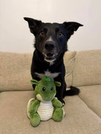 Ancol Sprout The Dragon Dog Toy