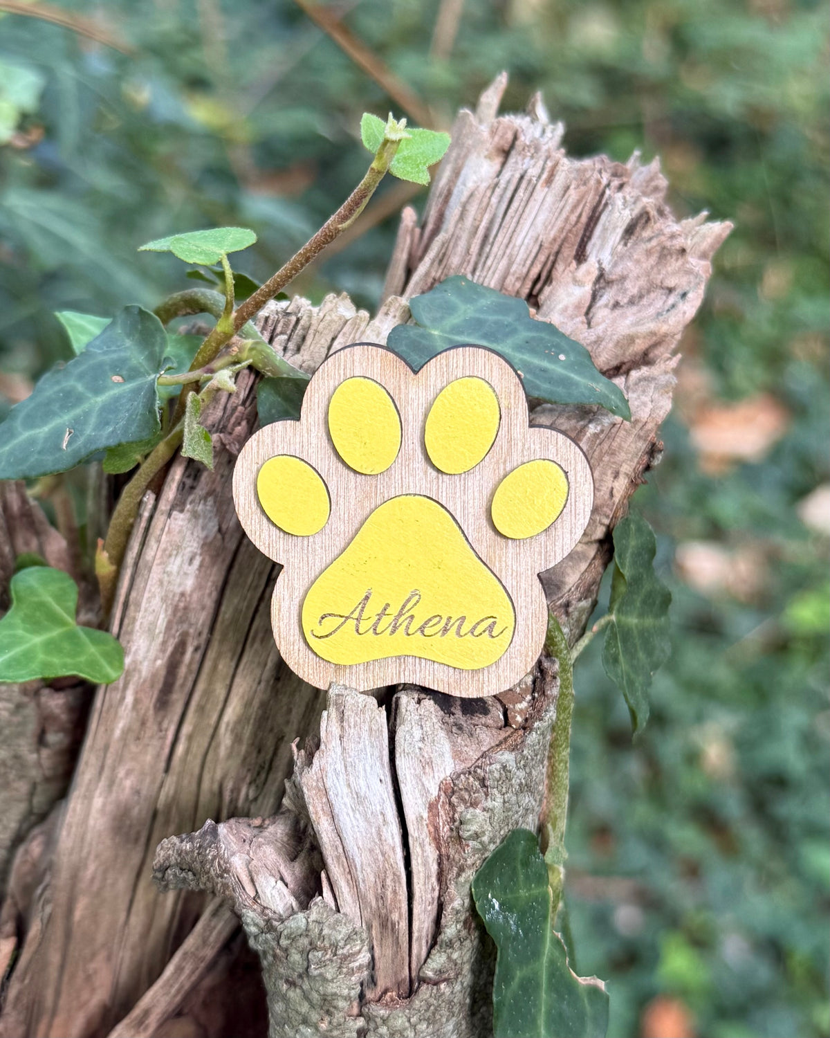 Personalised 3D Wooden Paw Name Engraved Magnet