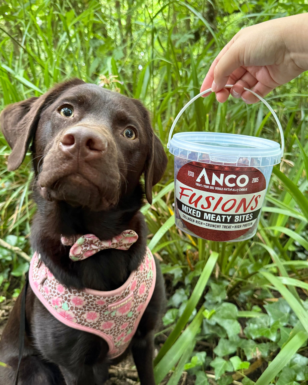 Anco Fusions Mixed Meaty Bites Dog Treats