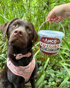 Anco Fusions Mixed Meaty Bites Dog Treats