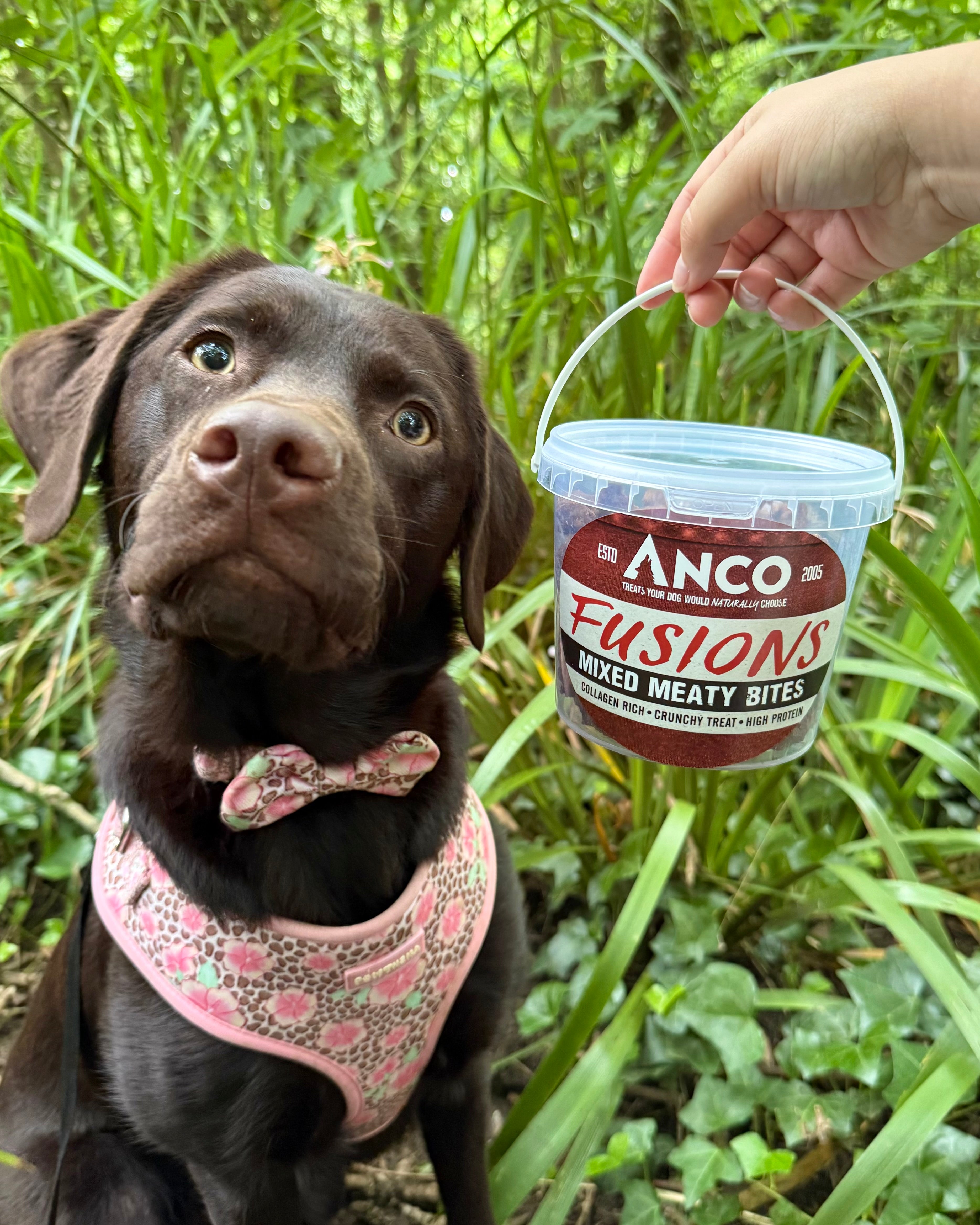Anco Fusions Mixed Meaty Bites Dog Treats