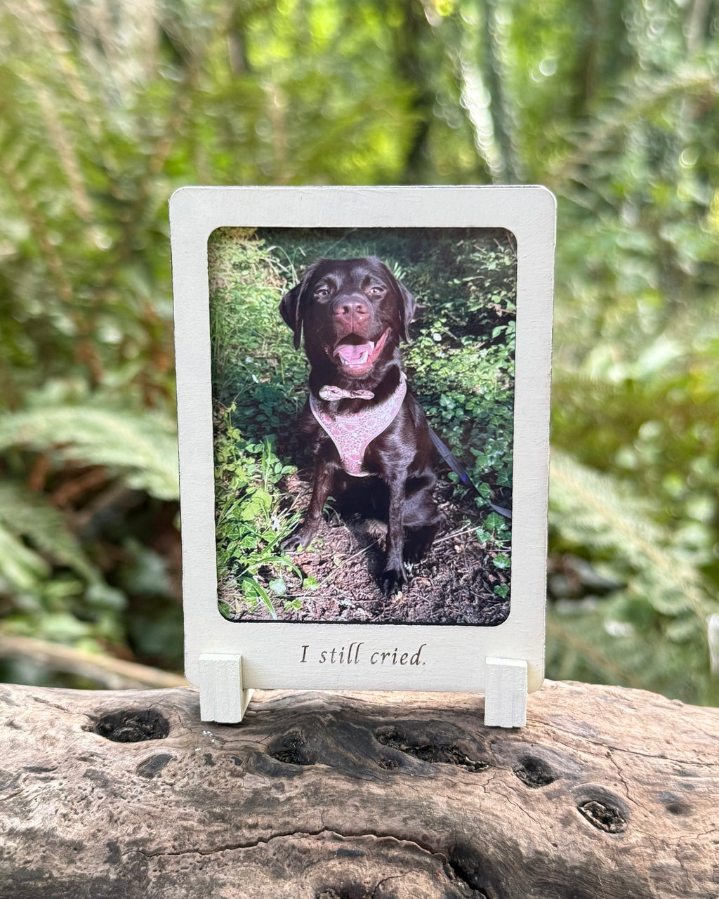Then & Now Double Sided Wooden Dog Photo Frame