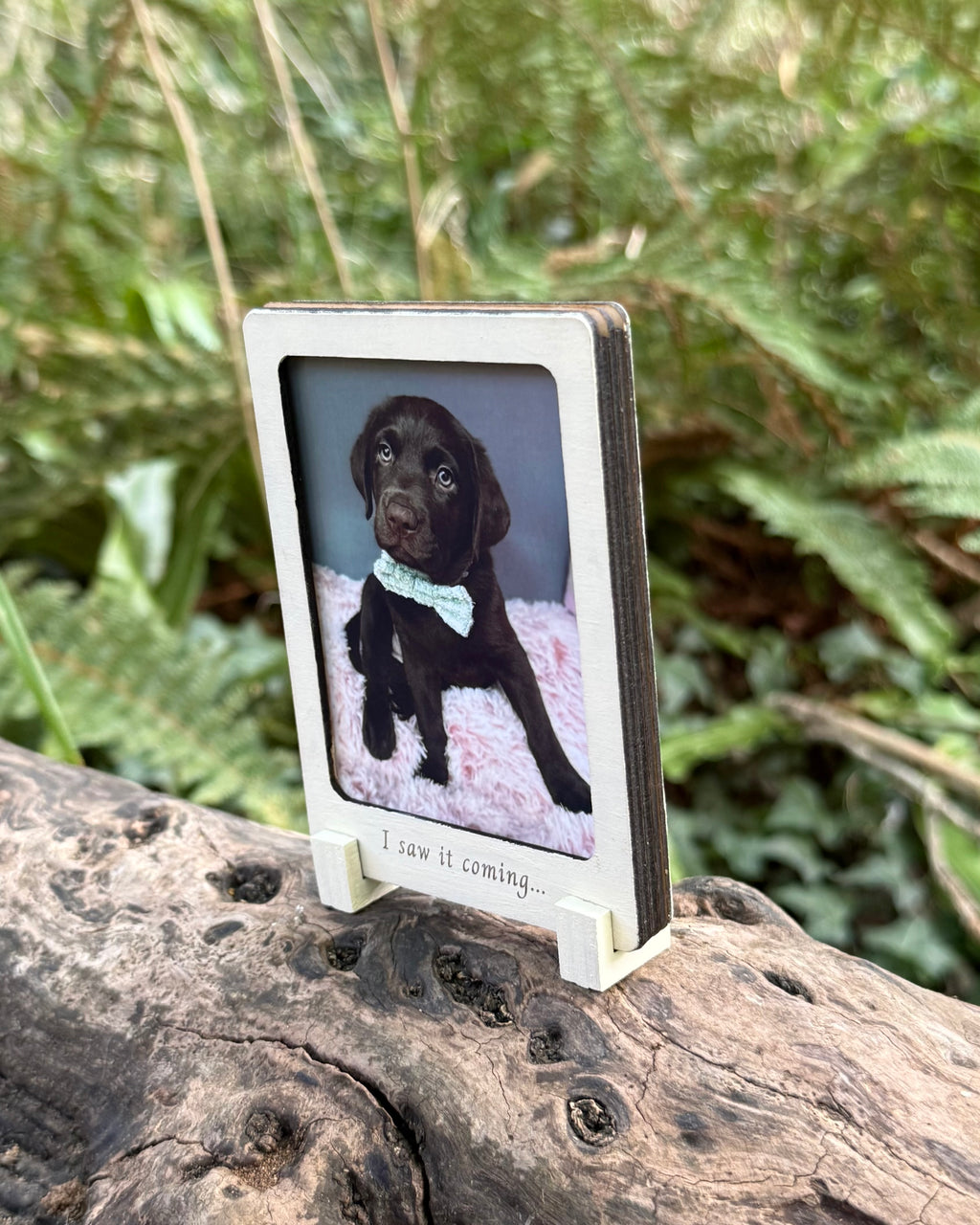 Then & Now Double Sided Wooden Dog Photo Frame