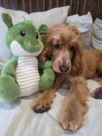 Ancol Sprout The Dragon Dog Toy