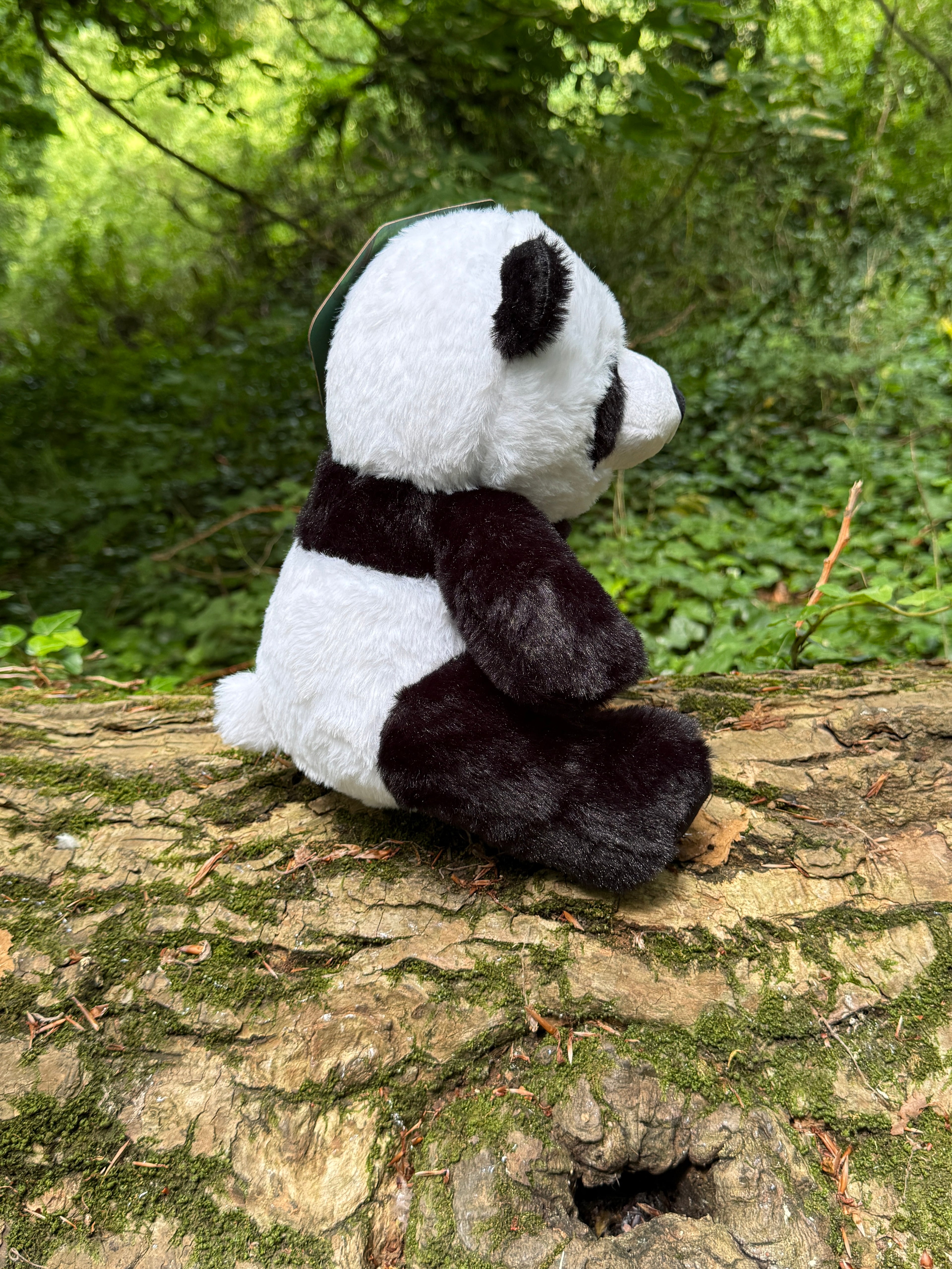 Ancol Patrick Panda Dog Toy
