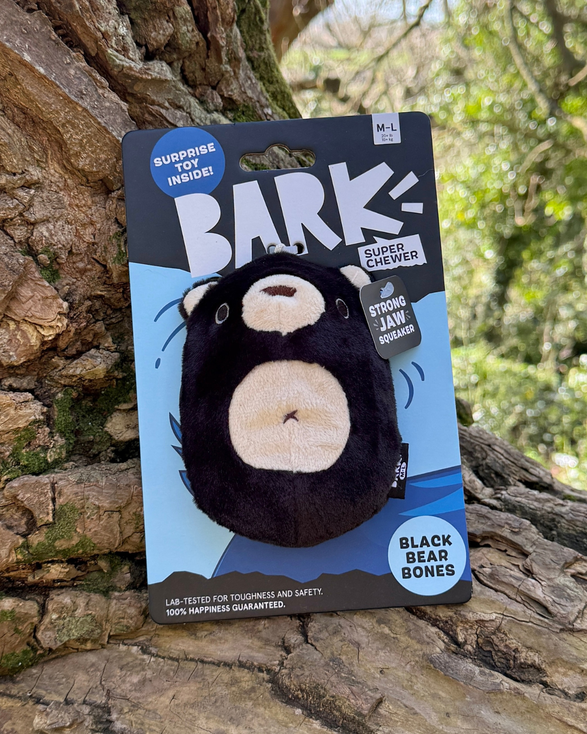 Bark Black Bear Bones Dog Toy