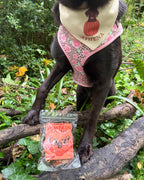 Pawthena Pumpkin Quackers Limited Edition Halloween Dog Treats