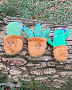 Ancol Cuddle Cactus Toy