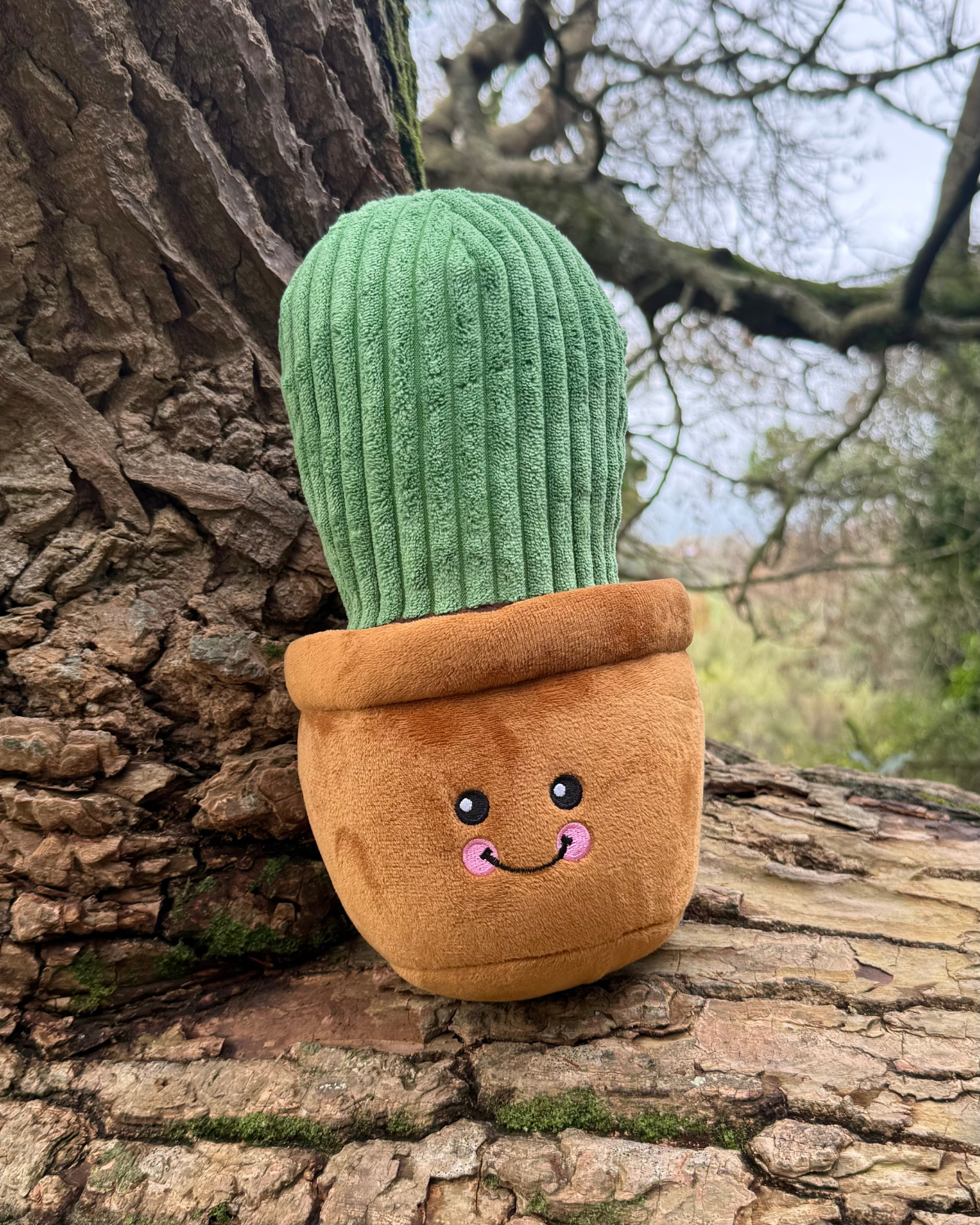 Ancol Cuddle Cactus Toy