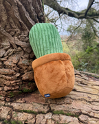 Ancol Cuddle Cactus Toy