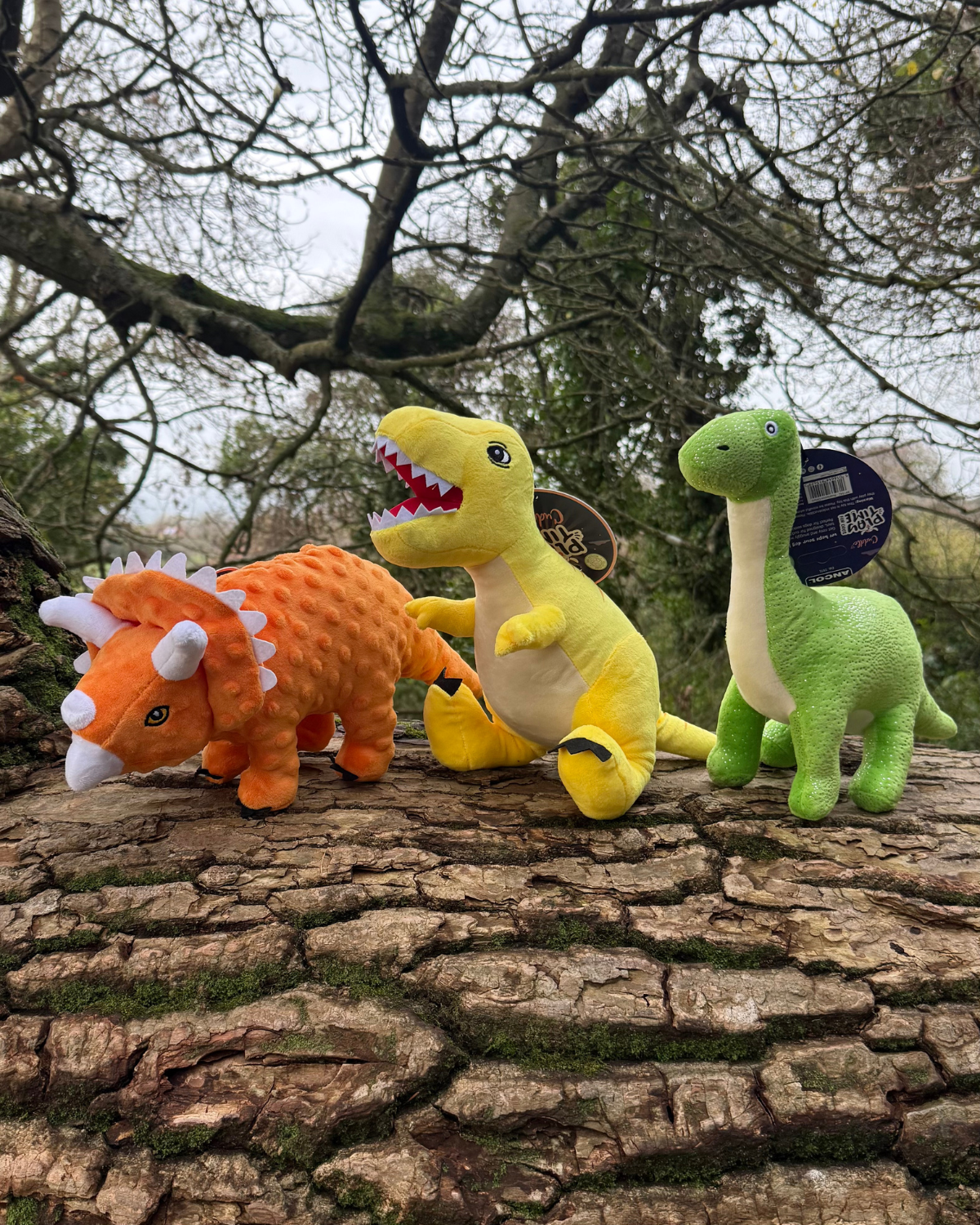 Ancol Cuddle Roarsome Dino Toy