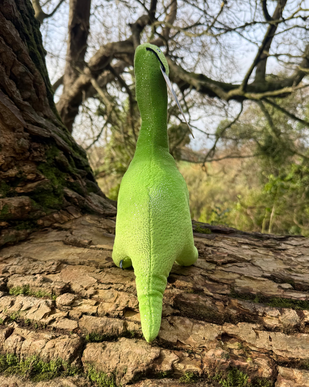 Ancol Cuddle Roarsome Dino Toy