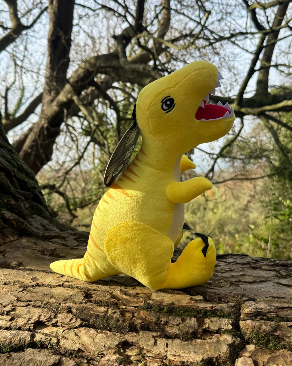 Ancol Cuddle Roarsome Dino Toy