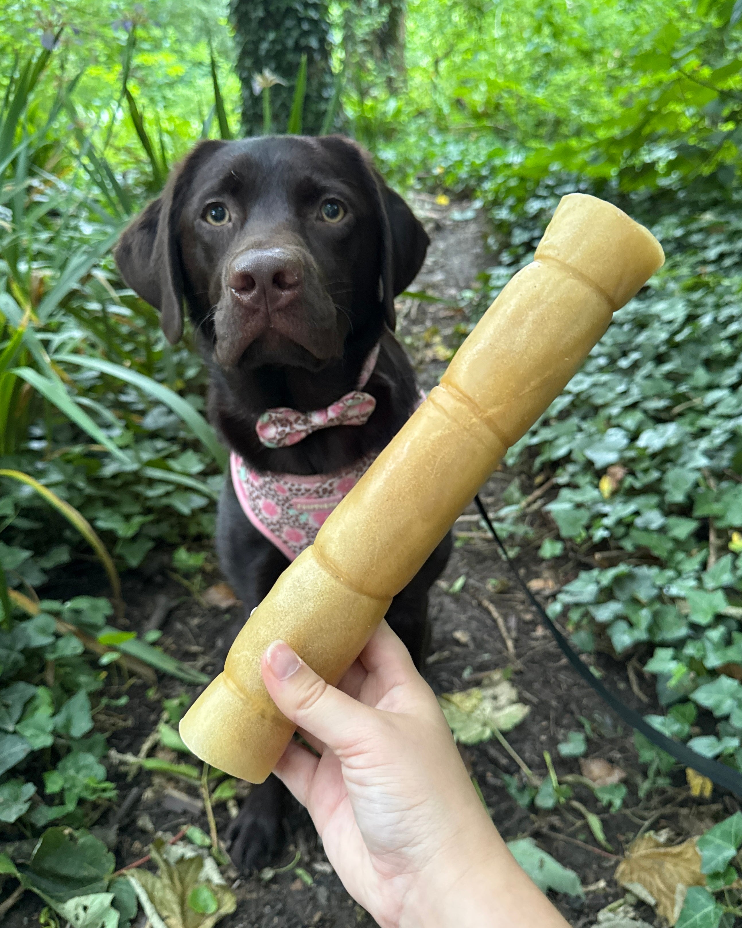 Pawthena Jumbo Buffalo Skin Roll