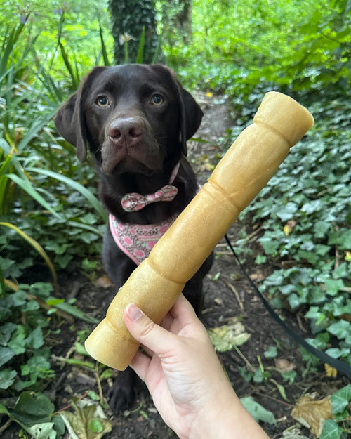 Pawthena Jumbo Buffalo Skin Roll