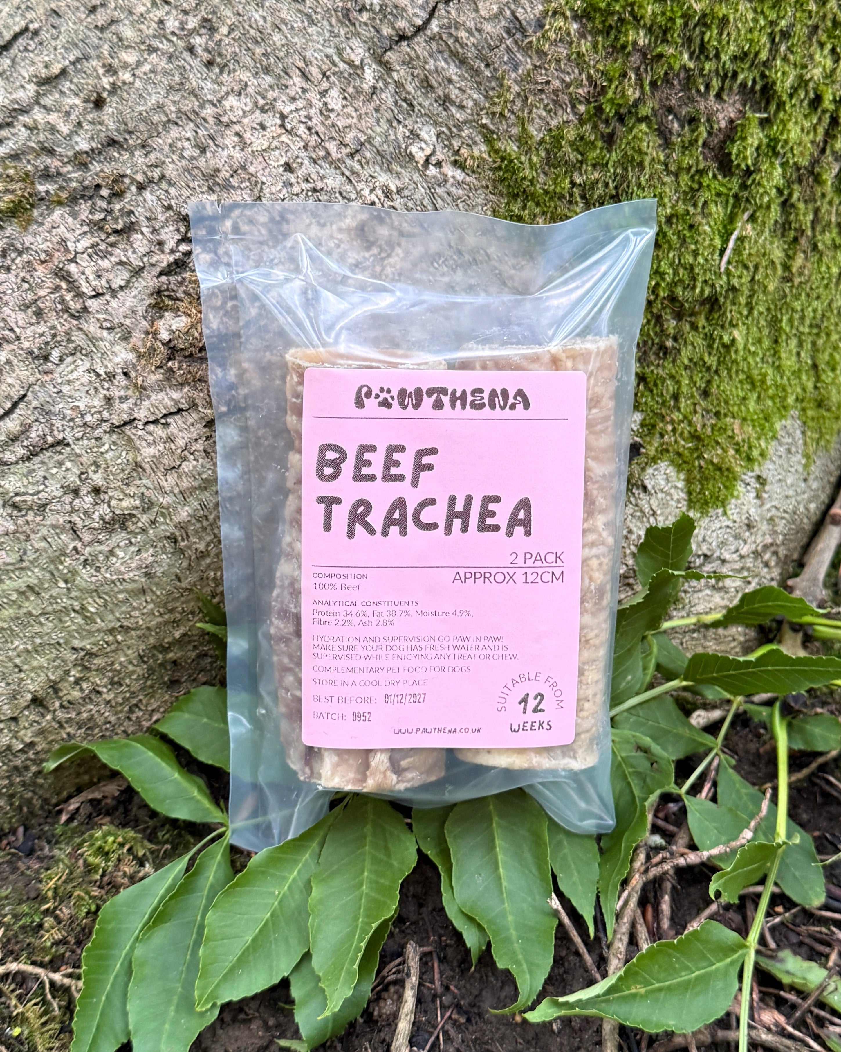 Pawthena Beef Trachea