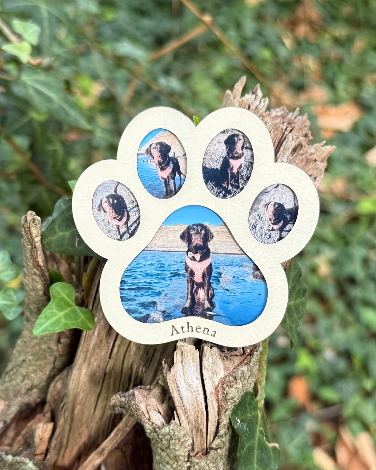 Personalised Wooden Paw Print Collage Dog Photo Frame Magnet