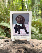 Then & Now Double Sided Wooden Dog Photo Frame