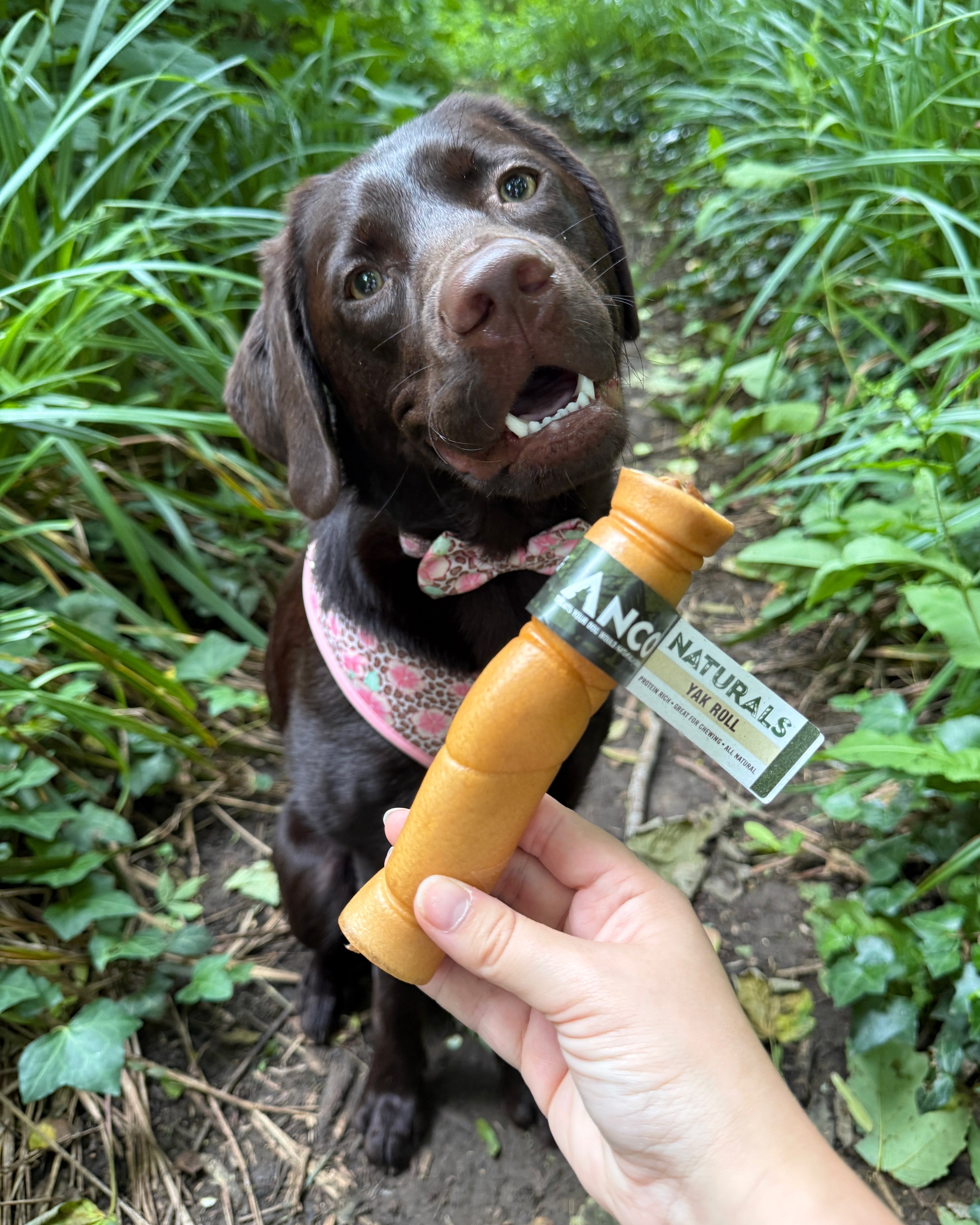 Anco Naturals Yak Roll