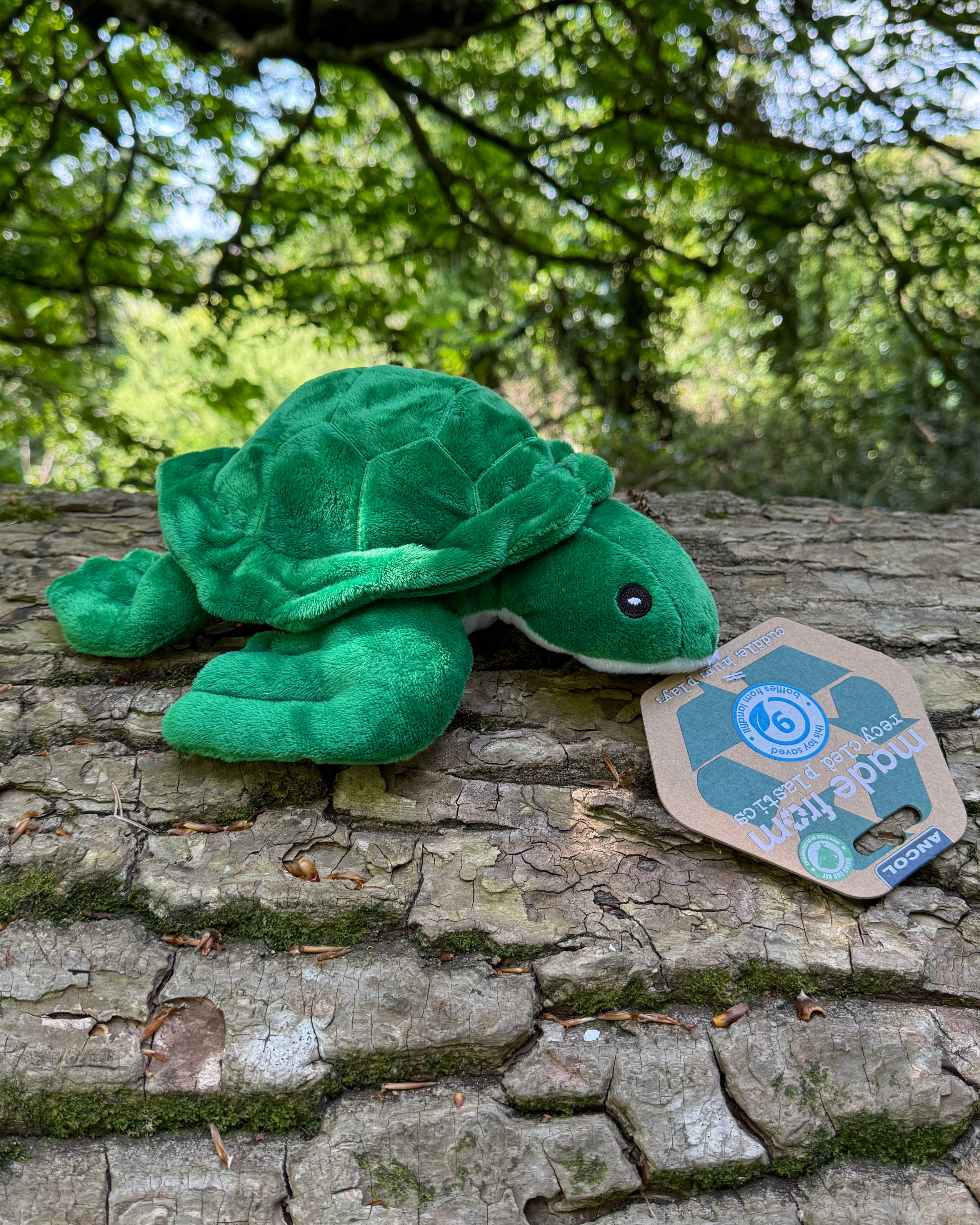 Ancol Turtle Dog Toy