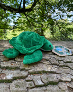 Ancol Turtle Dog Toy