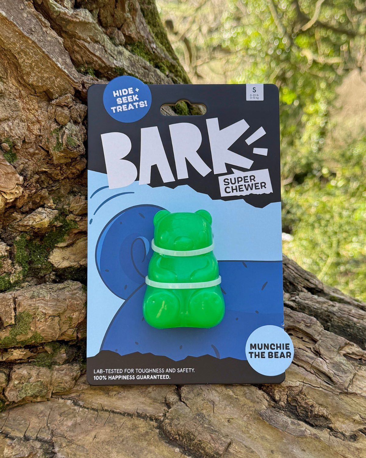 Bark Munchie The Bear Dog Toy