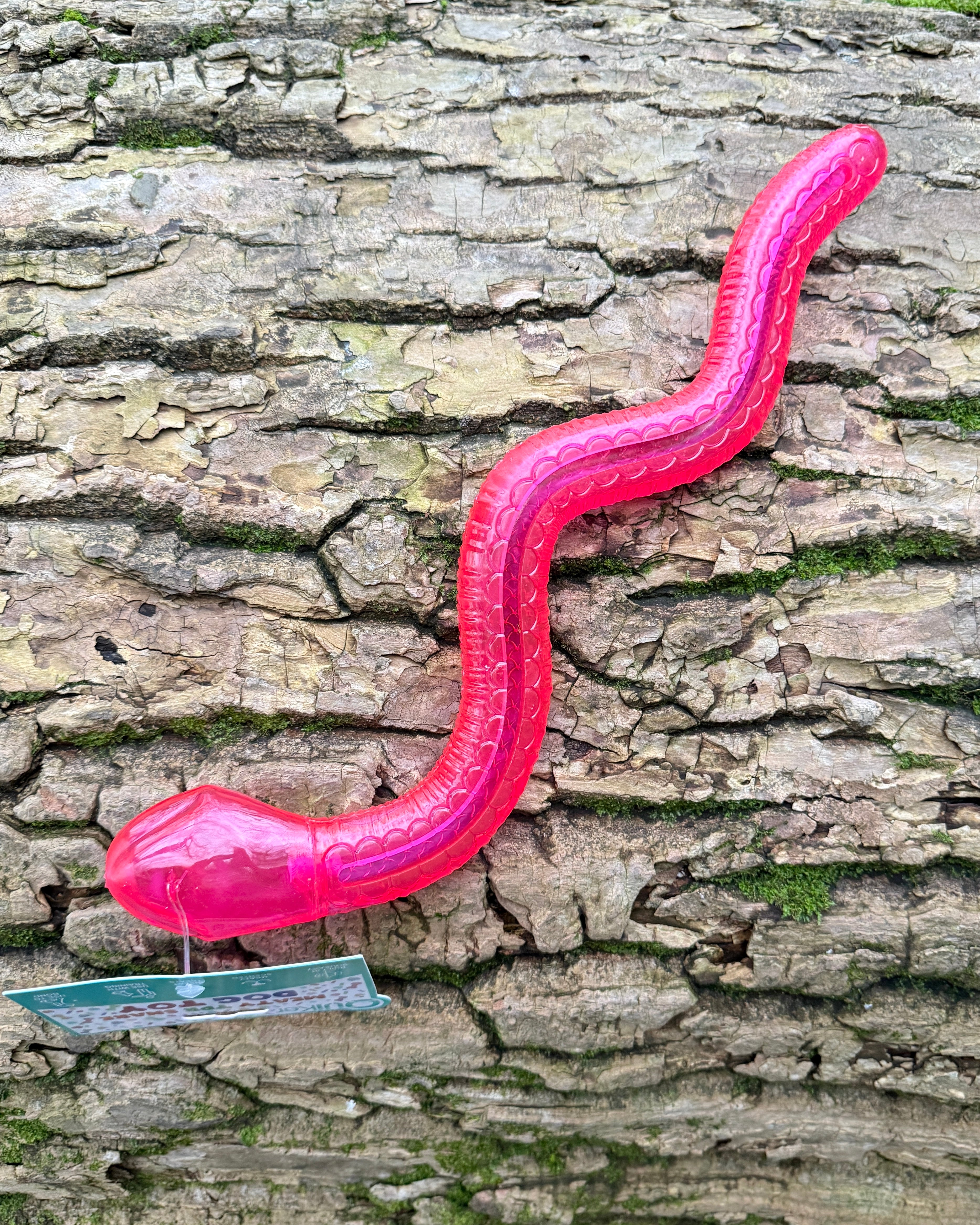 Quiker Meaty Long Treat & Snuffle Snake Enrichment Dog Toy