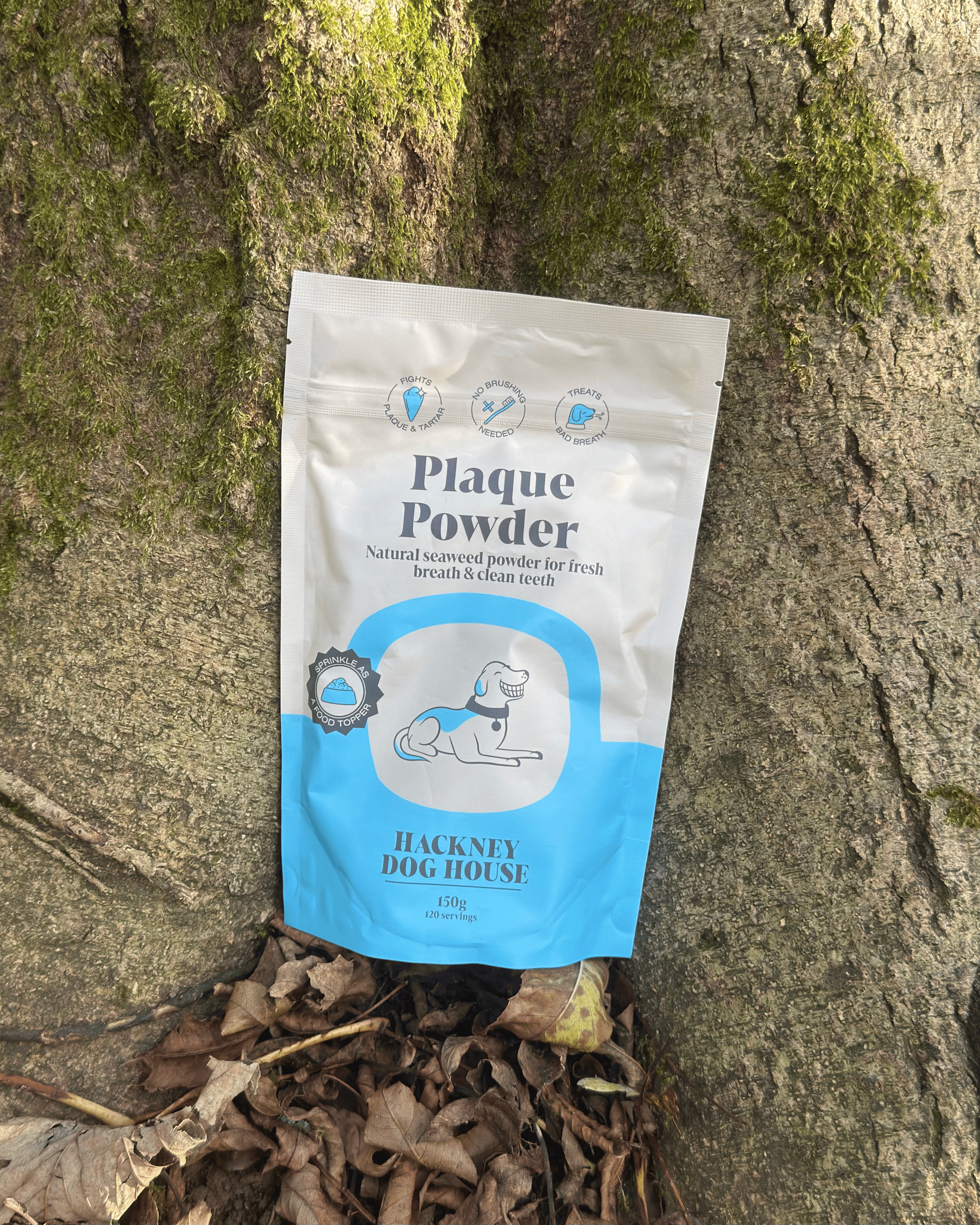 Hackney Dog House Plaque Powder