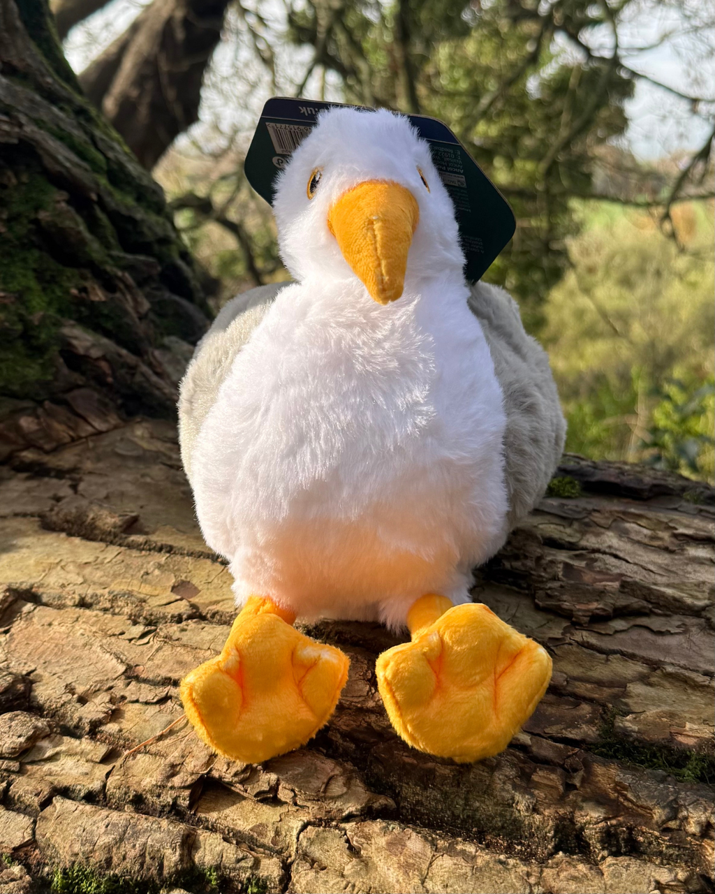 Ancol Seagull Toy