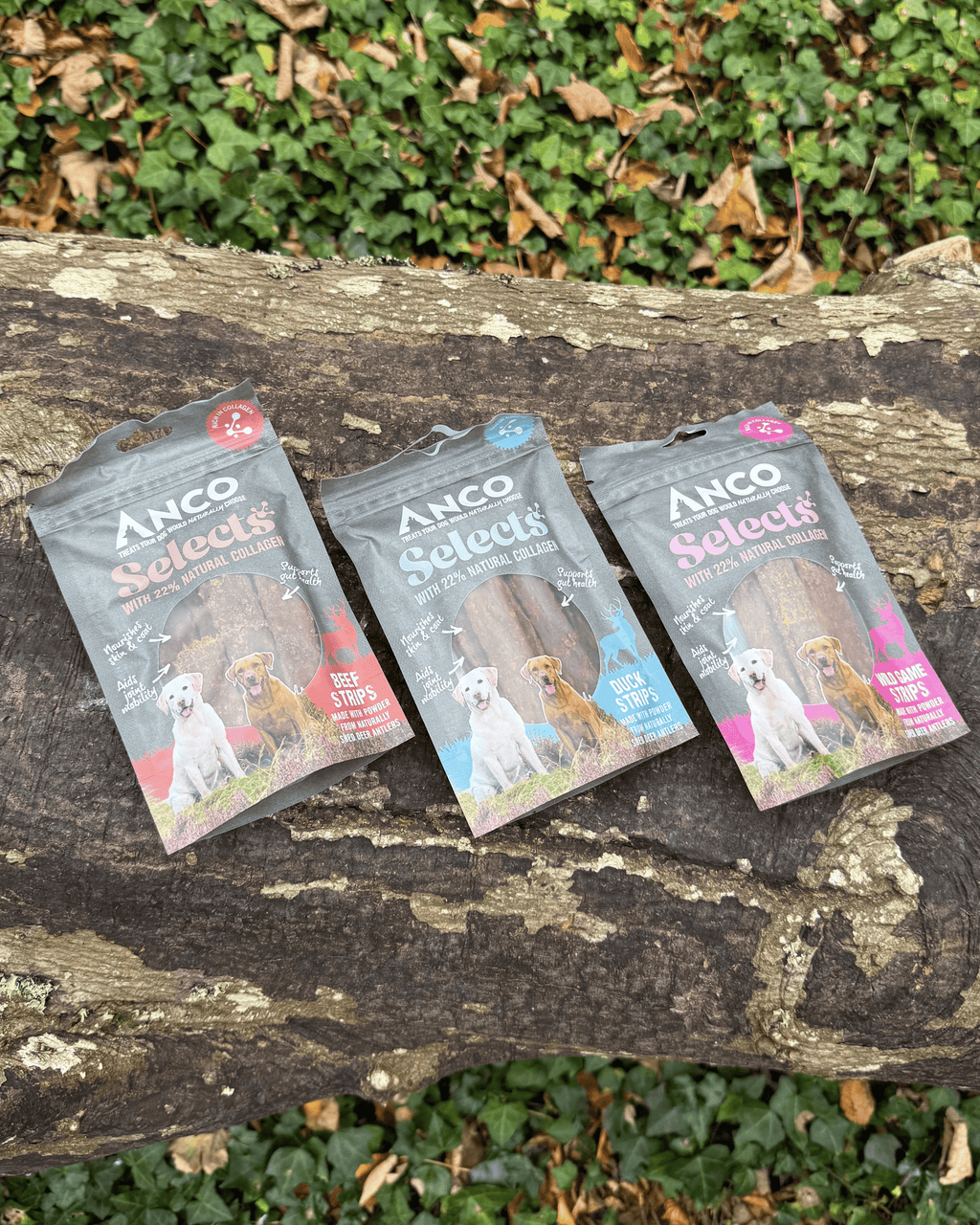 Anco Selects Strips with Collagen