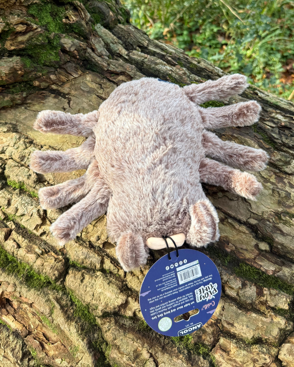 Ancol Soft Sid The Spider Toy